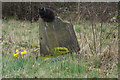 Sculcoates North Cemetery