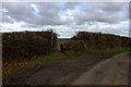 Footpath entrance at Beaumont Hall Lane