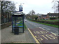 Bus stop and shelter on Tile Hill Lane