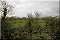 An empty field close to a new housing development on Allenstyle