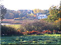 Autumn in Fingringhoe, by Roman River