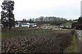 Hedgerow beside Bazeley Lane