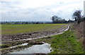 Farmland on the edge of Wigston Magna