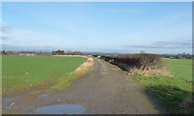 NZ1111 : Bridleway to Wycliffe on the River Tees by Christine Johnstone