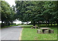 Picnic area along the A1077 Barrow Road