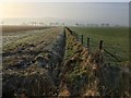 Fields and fence