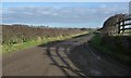 NZ1511 : Greenless Lane, north of Brancas Farm by Christine Johnstone