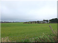 Fields at Brockstedes Farm, Downall Green