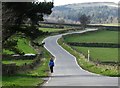 Walking on Brown Hills Lane