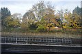 Autumn by the Jubilee Line