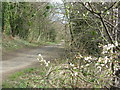 Fife Coastal Path