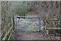 Footpath into nature reserve, Belle Vue, Garden City, Ebbw Vale