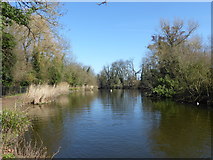 TQ3296 : The New River in Town Park, Enfield by Marathon