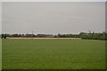 Farmland, Huntspill Level