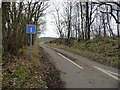 The road to Occupation Wood and Soulby Fell Farm