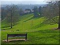 A view over Newport from Beechwood Park