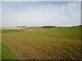 SE8646 : Over  fields  to  Cleaving  Coombe by Martin Dawes