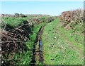 Track, near Higher Collyforches Farm