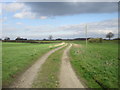 The footpath to Elvington