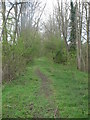 Footpath from Eyarth Bridge to Pwllglas