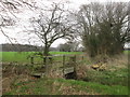 Footbridge on the path near Partridge Hill