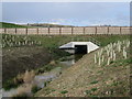 Drainage ditch Combe Valley Countryside Park