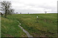 Stream by the footpath