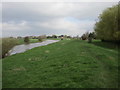 The River Derwent above Loftsome Bridge