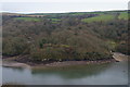 View of Pencalenick across Pont Pill