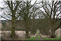 Bridleway descending through avenue of trees