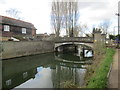 Bridge over the canal at Roydon