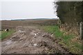 Muddy entrance to a field