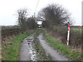 Gas Pipeline Marker near Cranberry Ley Farm