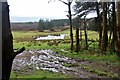 Pond on the outskirts of Kilmacolm