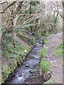 Tregoniggie stream