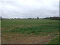 Crop field off Shenley Lane (B5378)