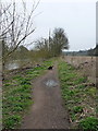 Riverside path on the bank of the Severn