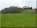 Bewdley Cricket Club ground