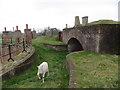 On top of and amongst the chimneys of Fort Rowner