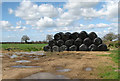 TM0091 : Silage bales stored on a field's edge by Evelyn Simak