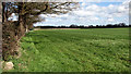 TM0091 : Fields by Grange Farm by Evelyn Simak