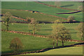 Mid Devon : Countryside Scenery