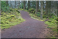 Track beside Loch Venachar