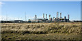 NZ5124 : Roughly vegetated ground with industrial plant beyond by Trevor Littlewood