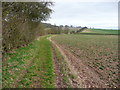 Bridleway looking west, Offley