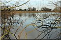 Lake, Staveley Nature Reserve