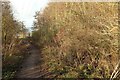 Path round Staveley Nature Reserve