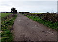 Access road to Springoaks Stables, Nottage, Porthcawl