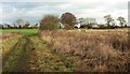 Approaching Carr Top Farm