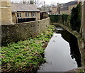 ST7748 : River Frome, Frome by Jaggery